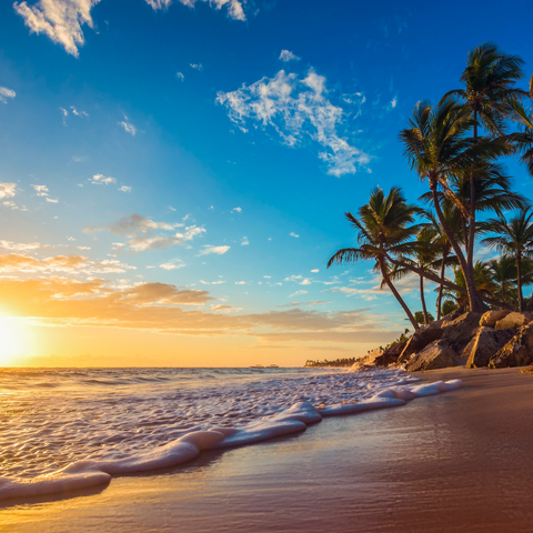 Beach Breeze