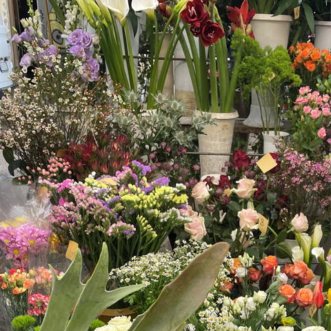 Acqua e Petali